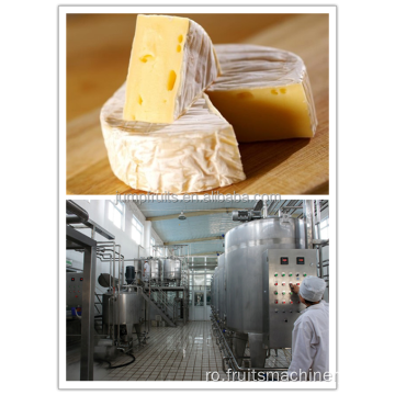 Uzina de procesare a laptelui de producție de iaurt